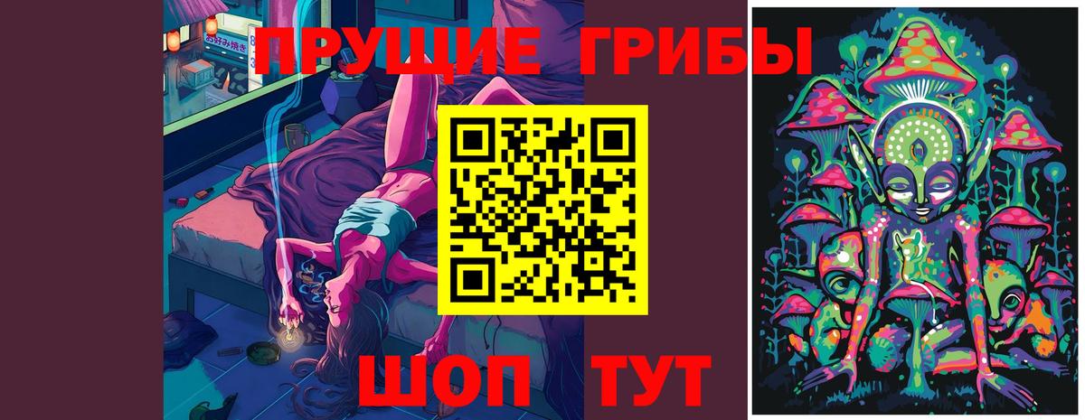Гусь-Хрустальный  Галлюциногенные грибы MAGIC MUSHROOMS  купить закладку  Галлюциногенные грибы Psilocybine cubensis  Вход с VPN 
