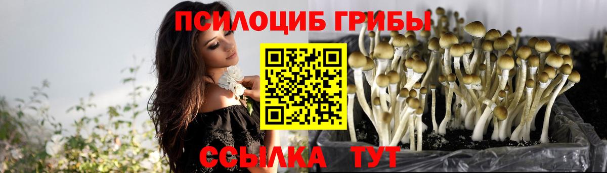 Псилоцибиновые грибы ЛСД Гусь-Хрустальный